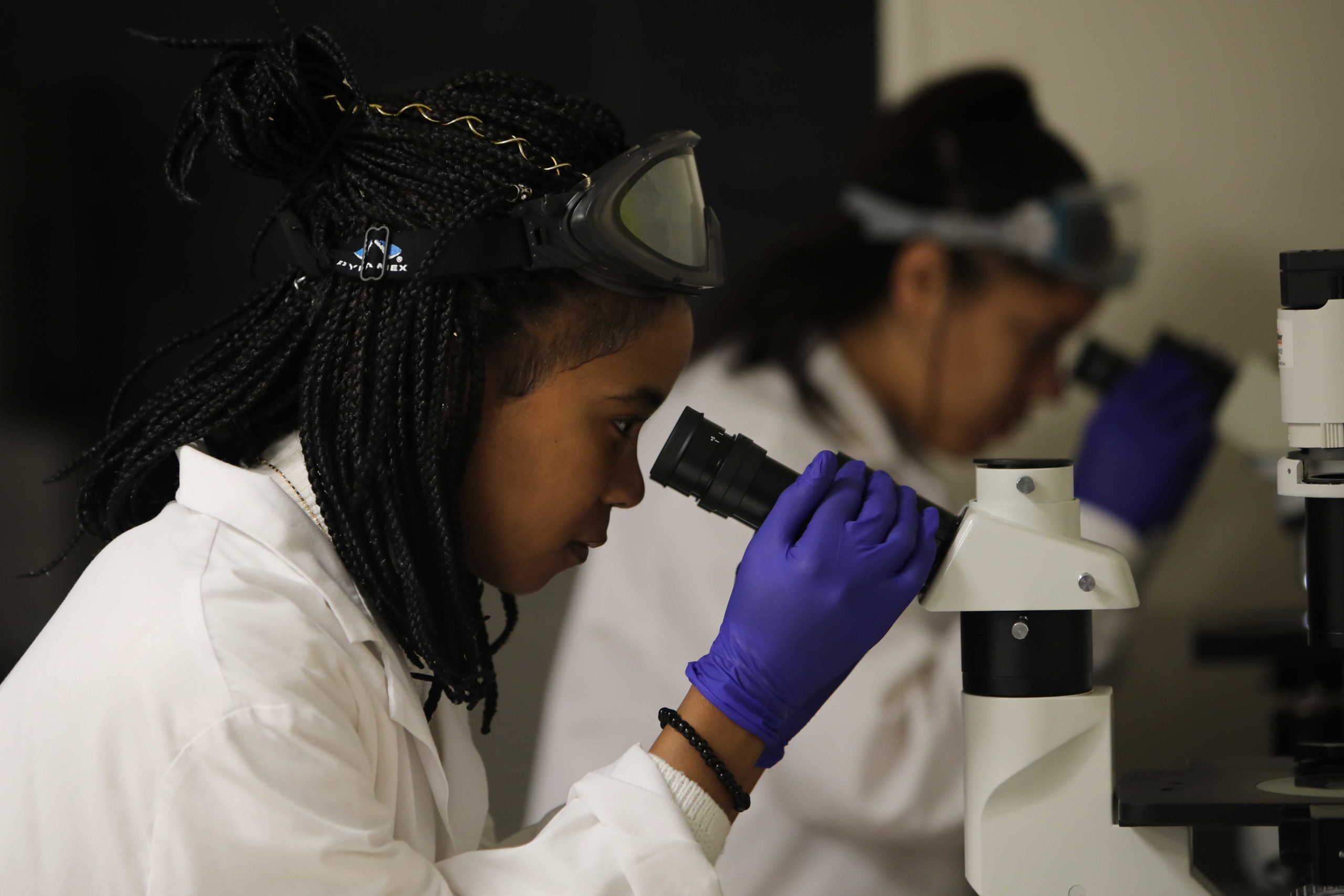 Microbiology Students Working In Lab