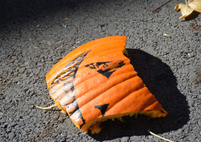 Students Celebrate Chemistry Week with Pumpkin Explosions