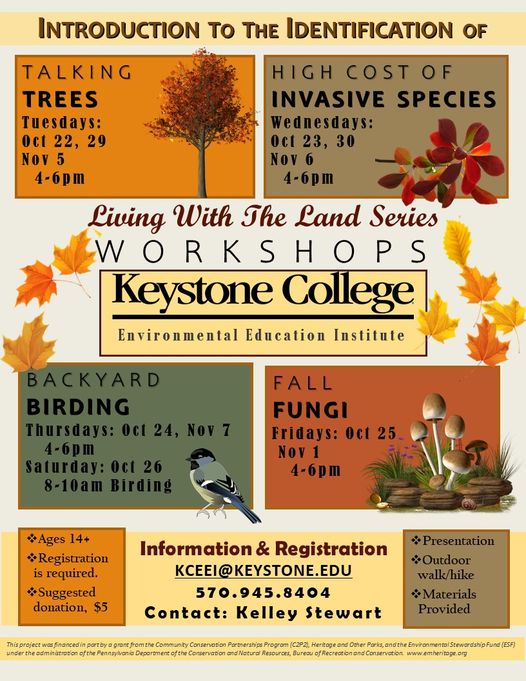 KCEEI Talking Trees Keystone College